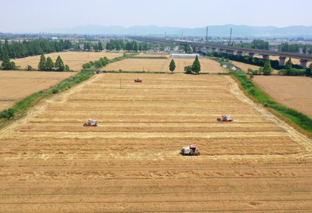 顆粒歸倉1.jpg