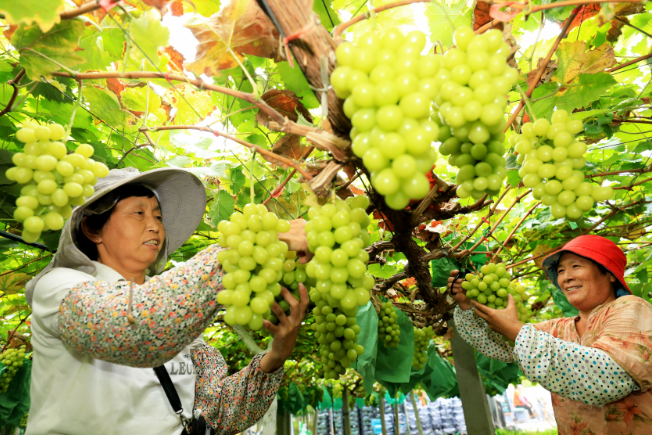 聯(lián)想截圖_20240914091143.png
